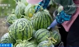 网红大瓜博雅吃瓜视频最全观看,全网最全大瓜集锦，一网打尽网红热点